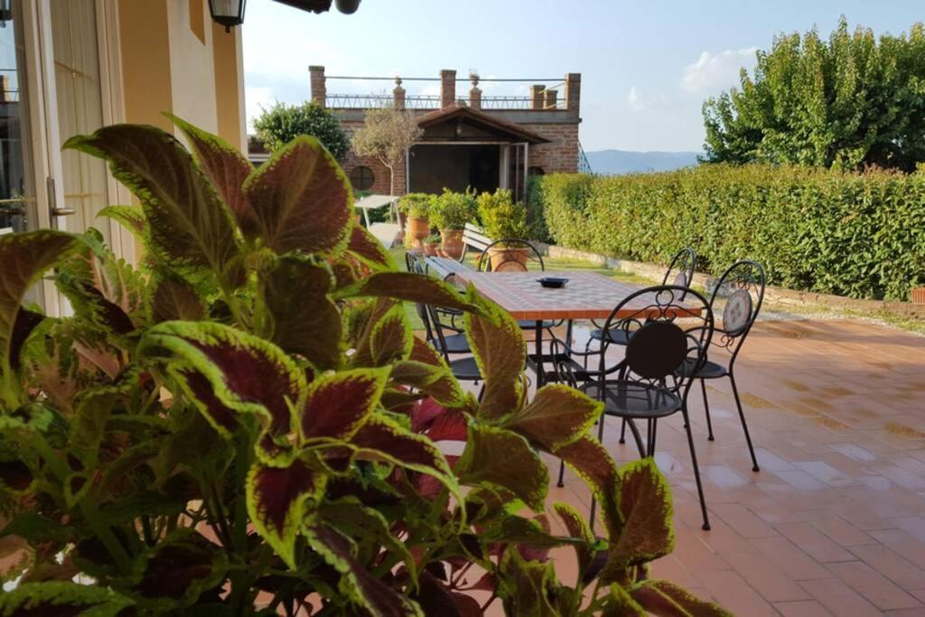 Apartament Bellavista La Tua Romantica Vacanza Sul Trasimeno Castiglione del Lago Zewnętrze zdjęcie