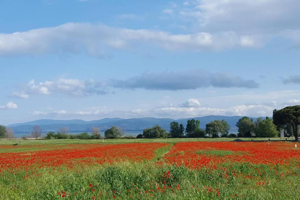 Apartament Bellavista La Tua Romantica Vacanza Sul Trasimeno Castiglione del Lago Zewnętrze zdjęcie