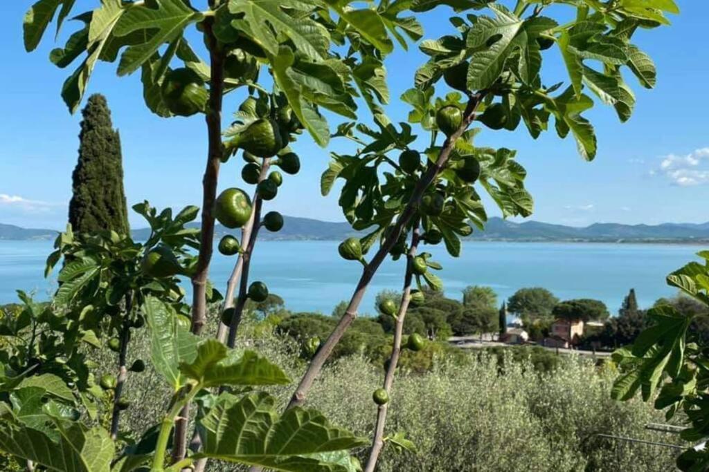 Apartament Bellavista La Tua Romantica Vacanza Sul Trasimeno Castiglione del Lago Zewnętrze zdjęcie