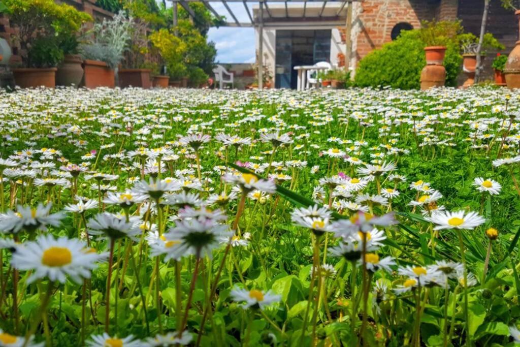 Apartament Bellavista La Tua Romantica Vacanza Sul Trasimeno Castiglione del Lago Zewnętrze zdjęcie