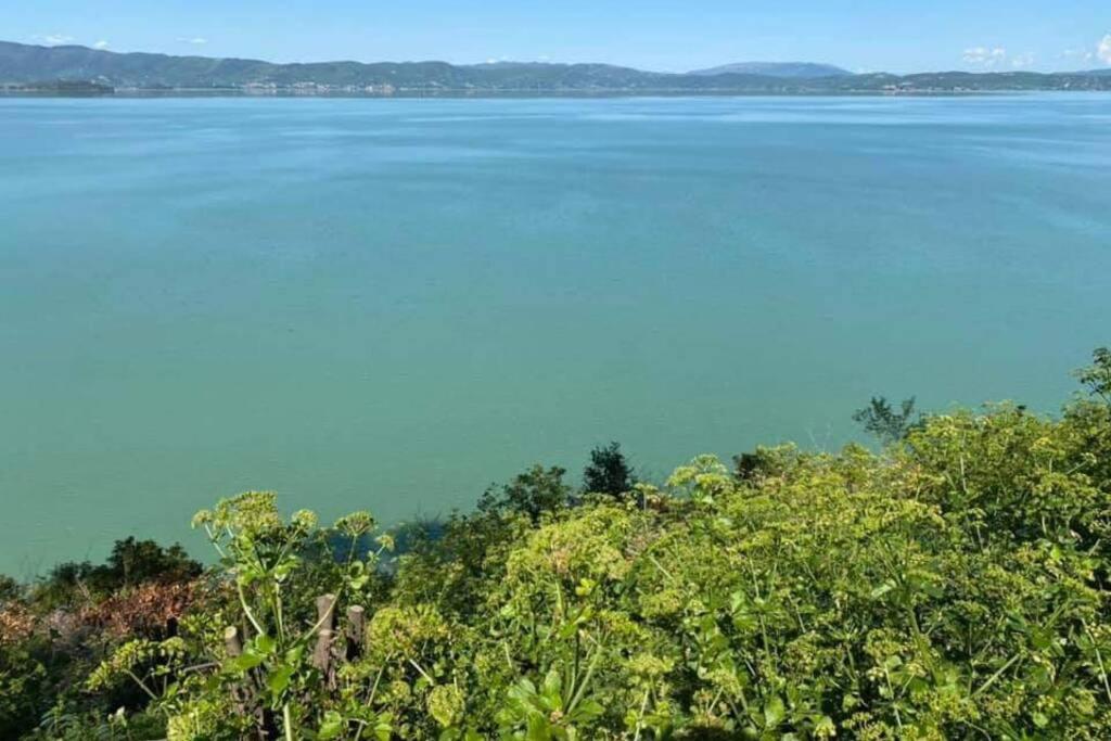 Apartament Bellavista La Tua Romantica Vacanza Sul Trasimeno Castiglione del Lago Zewnętrze zdjęcie