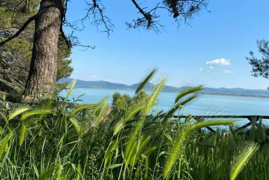 Apartament Bellavista La Tua Romantica Vacanza Sul Trasimeno Castiglione del Lago Zewnętrze zdjęcie