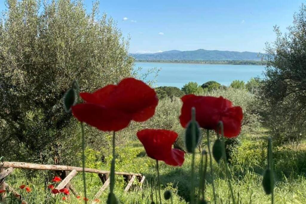 Apartament Bellavista La Tua Romantica Vacanza Sul Trasimeno Castiglione del Lago Zewnętrze zdjęcie